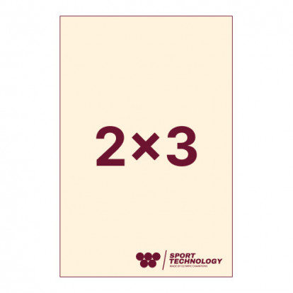 Ковер гимнастический Sport Technology для дома 2х3м