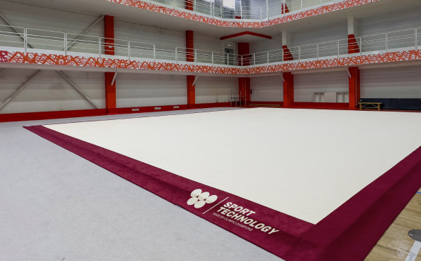 Artistic gymnastics mats 14x14